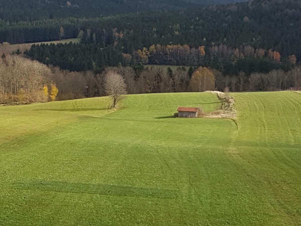 Apartmán Gut Steinhuegel Bischofsmais Exteriér fotografie